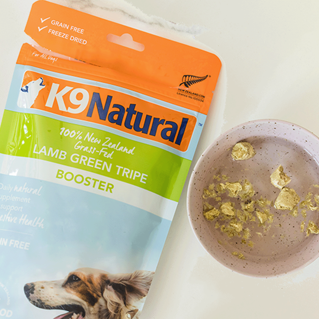 Superfood The Benefits Of Green Tripe For Dogs K9 Natural Australia